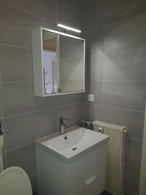 Studio De La Petite France Apartman Strasbourg Kültér fotó